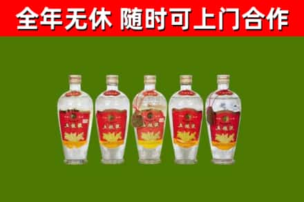 宁远烟酒回收公斤五粮液.jpg